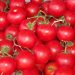 Price of tomatoes fall again