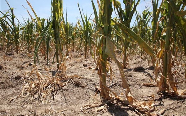 Drought to cause low food production – Agric Ministry