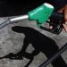 A customer uses a petrol nozzle to fill up his tank in a gas station in Nice August 27, 2012.    REUTERS/Eric Gaillard